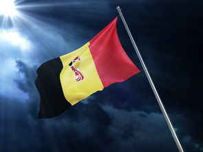 星空体育-欧洲杯预选赛决胜时刻：激情对决